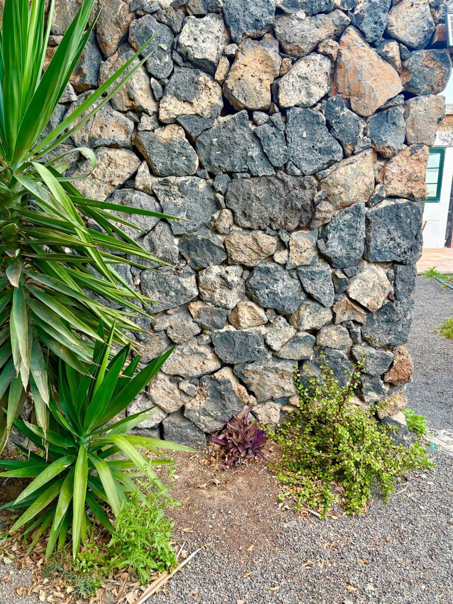 特吉塞Casa Munique别墅 外观 照片