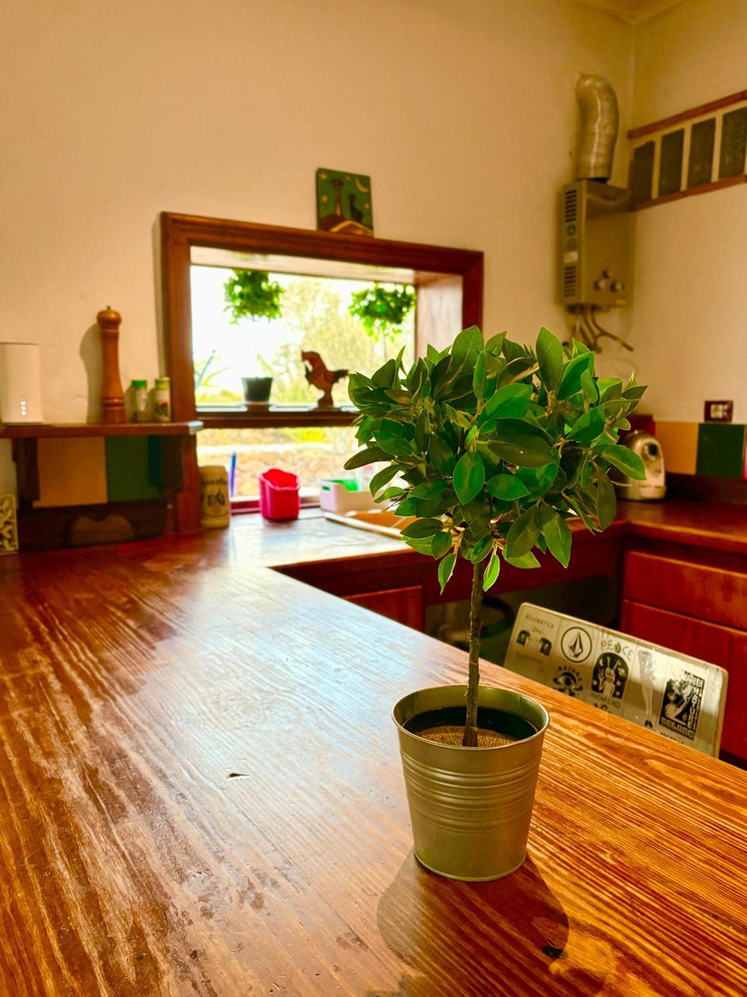 特吉塞Casa Munique别墅 外观 照片